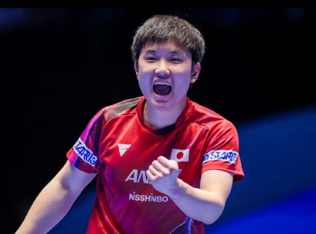 种巨大的挑 种巨大的挑