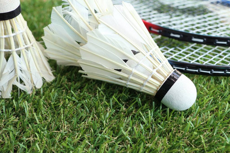 添了光彩 添了光彩